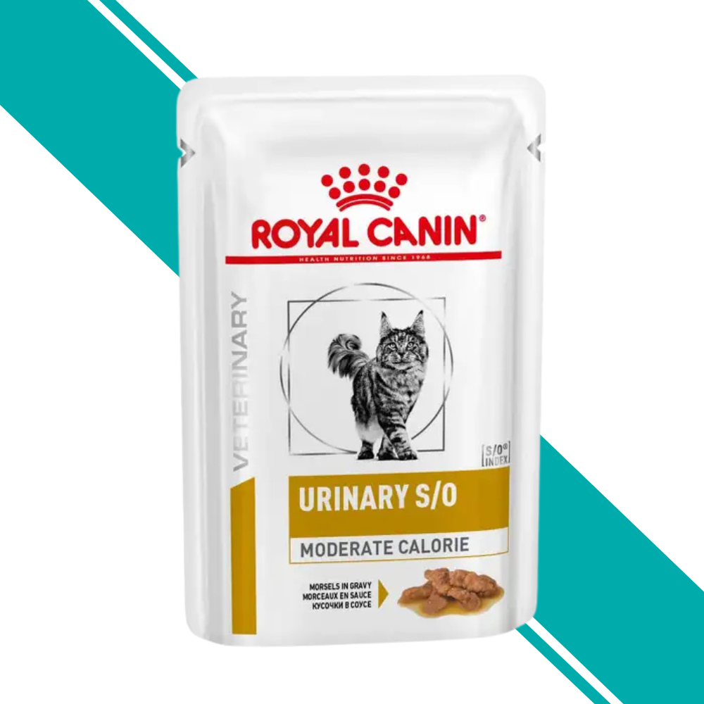 Royal Canin Urinary S/O Cat Food - Wet Moderate Calorie 48x85g Pouches